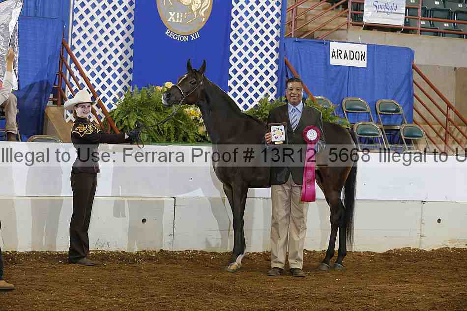 Proof Number 13r12_5668