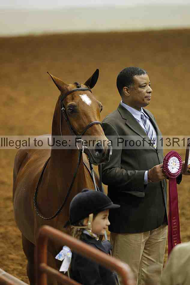 Proof Number 13r12_5670