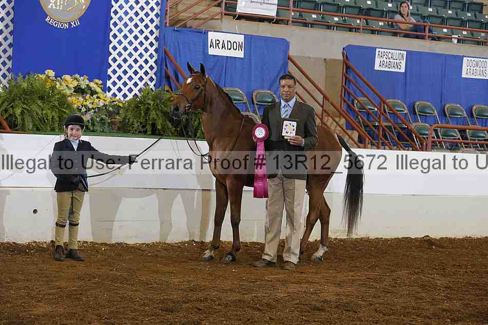 Proof Number 13r12_5672