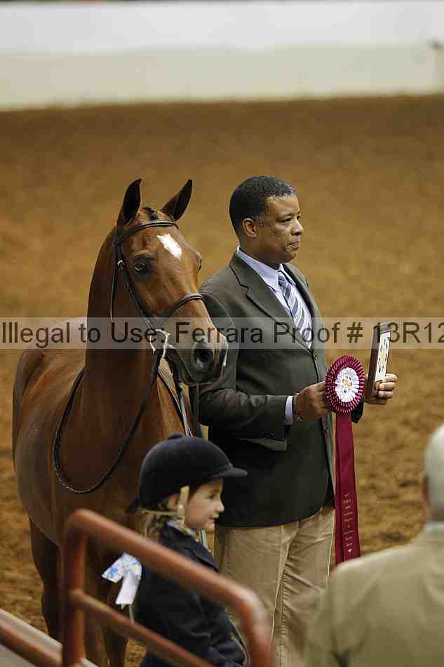 Proof Number 13r12_5674