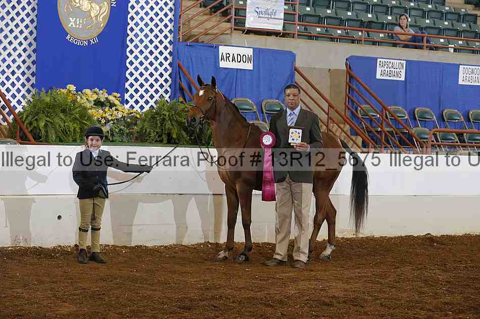 Proof Number 13r12_5675