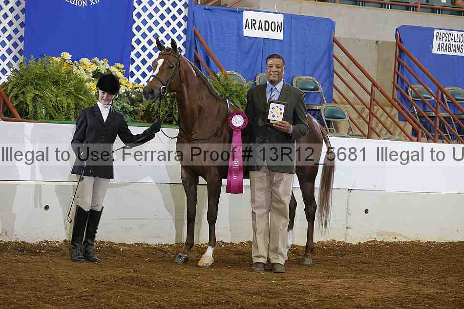 Proof Number 13r12_5681