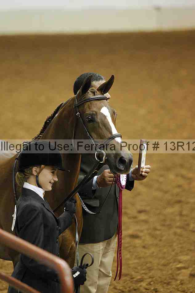Proof Number 13r12_5683