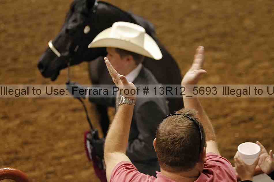 Proof Number 13r12_5693