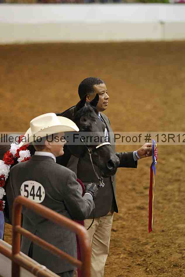 Proof Number 13r12_5696