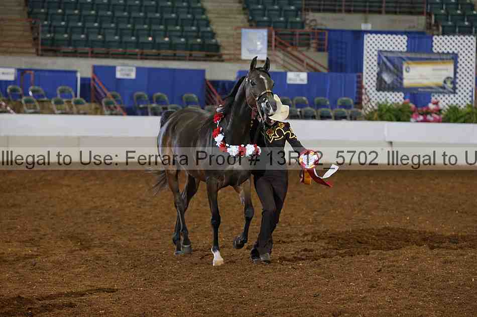 Proof Number 13r12_5702