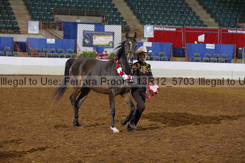 Proof Number 13r12_5703