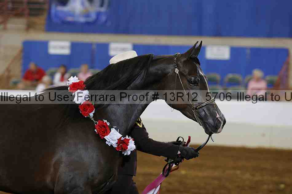 Proof Number 13r12_5706