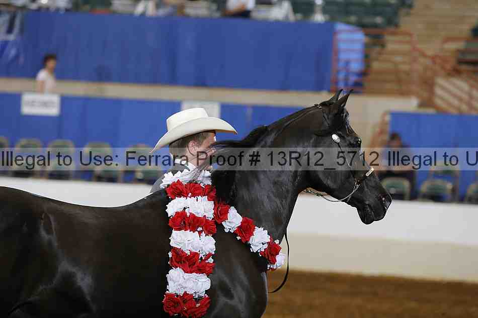 Proof Number 13r12_5712