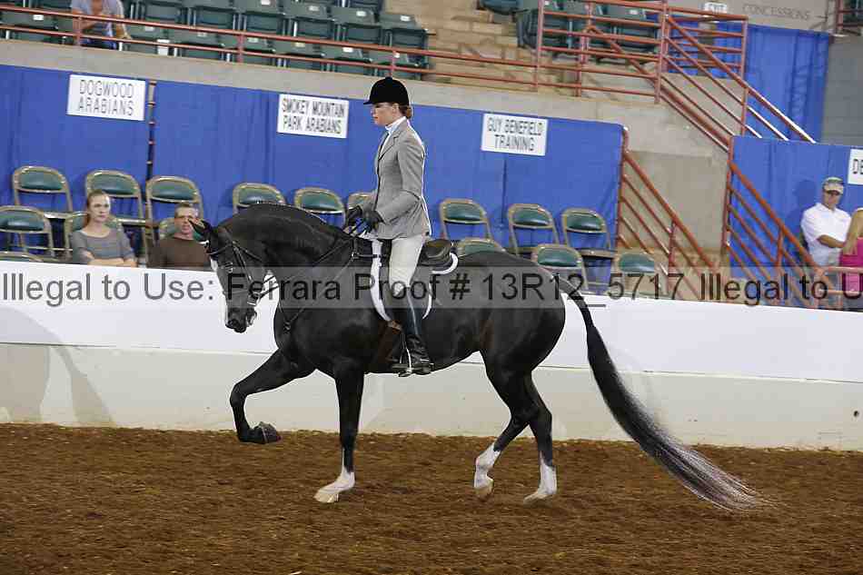 Proof Number 13r12_5717