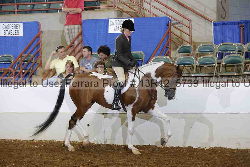 Proof Number 13r12_5739