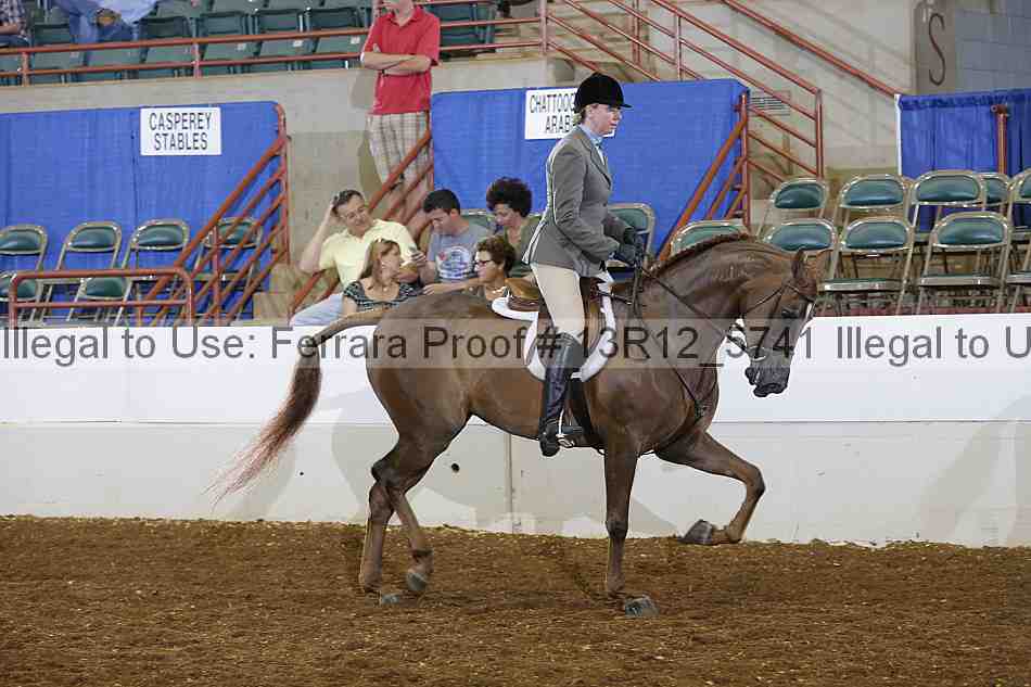 Proof Number 13r12_5741