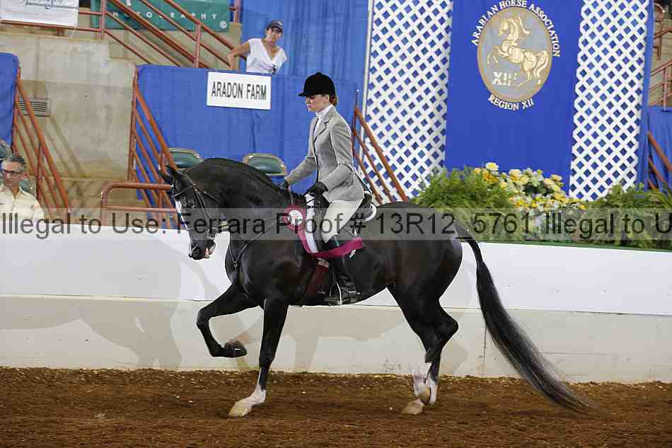 Proof Number 13r12_5761