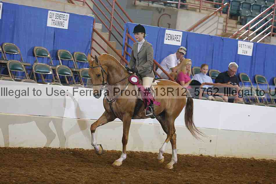 Proof Number 13r12_5762