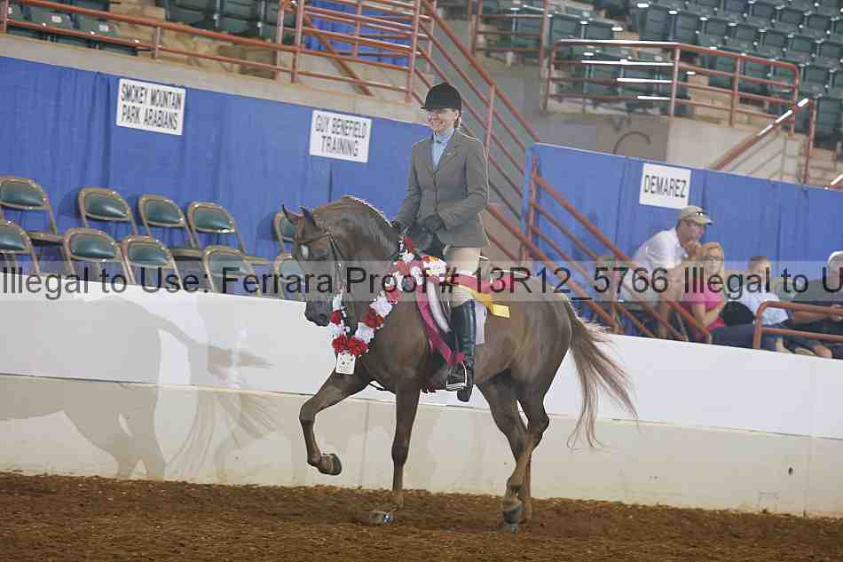 Proof Number 13r12_5766