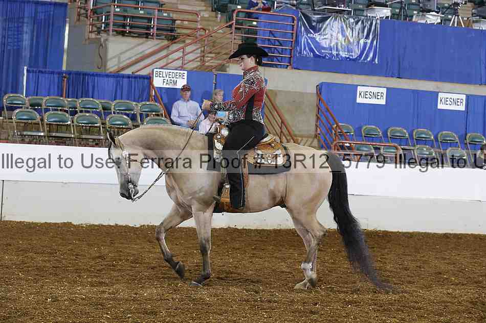 Proof Number 13r12_5779