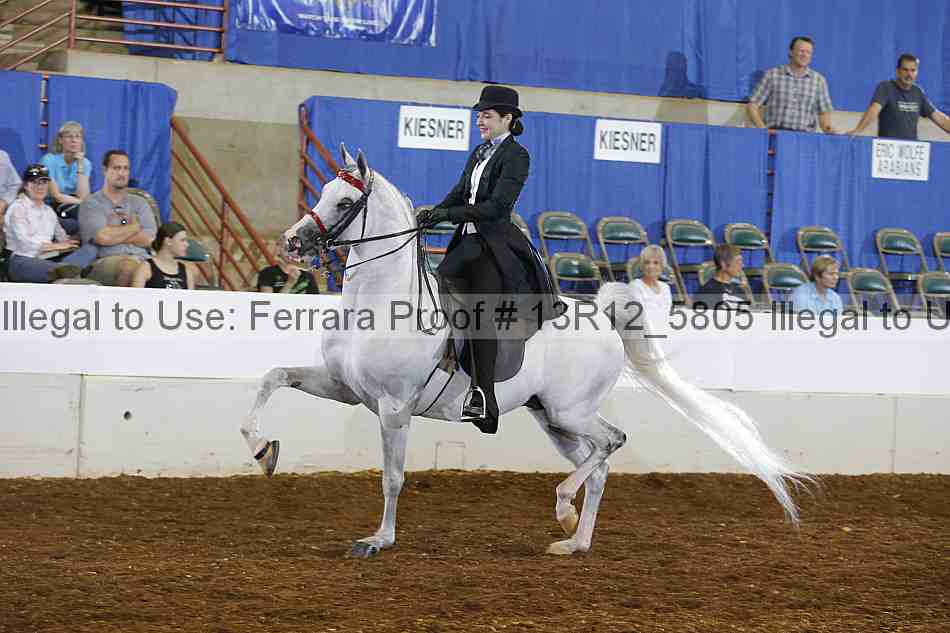 Proof Number 13r12_5805