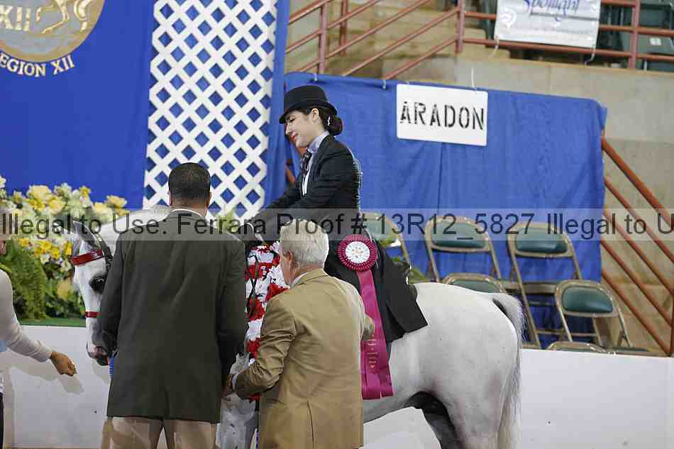 Proof Number 13r12_5827