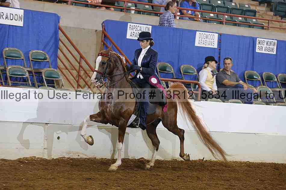Proof Number 13r12_5834
