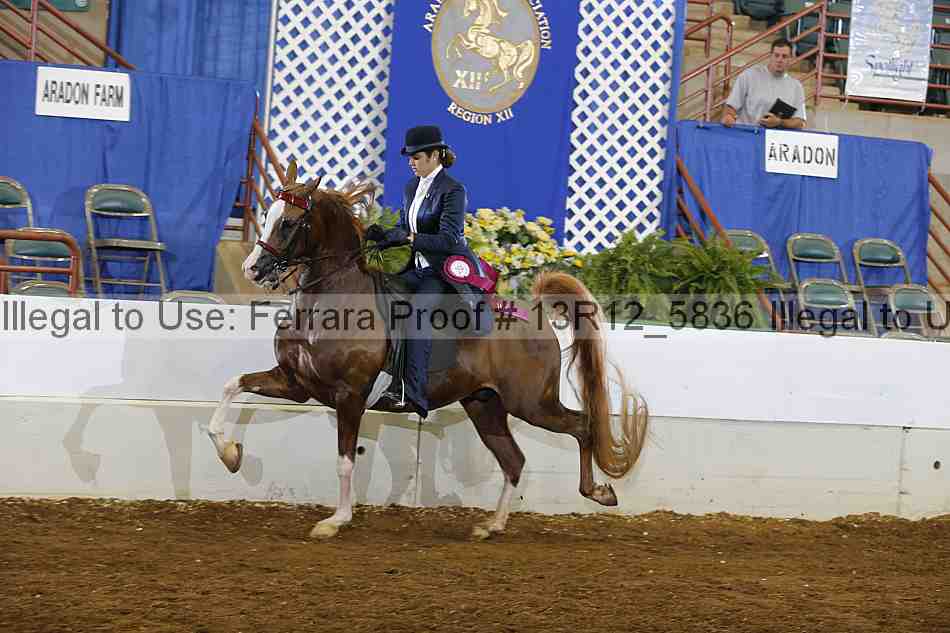 Proof Number 13r12_5836