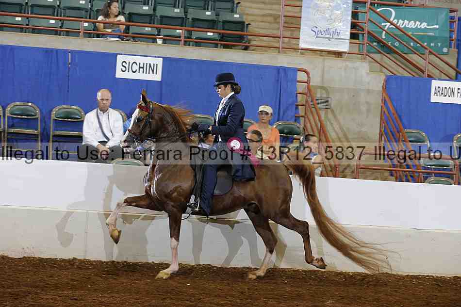 Proof Number 13r12_5837