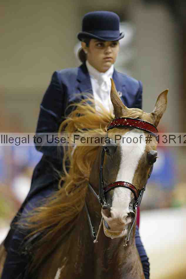 Proof Number 13r12_5842