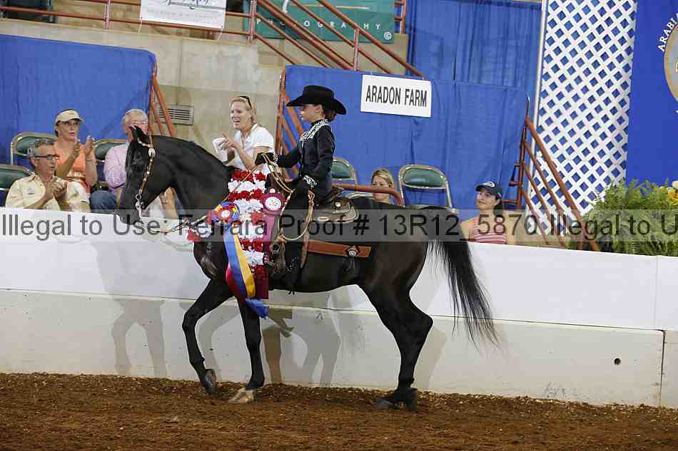Proof Number 13r12_5870
