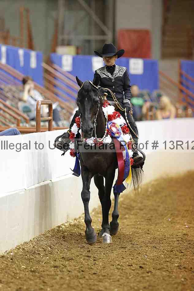 Proof Number 13r12_5873