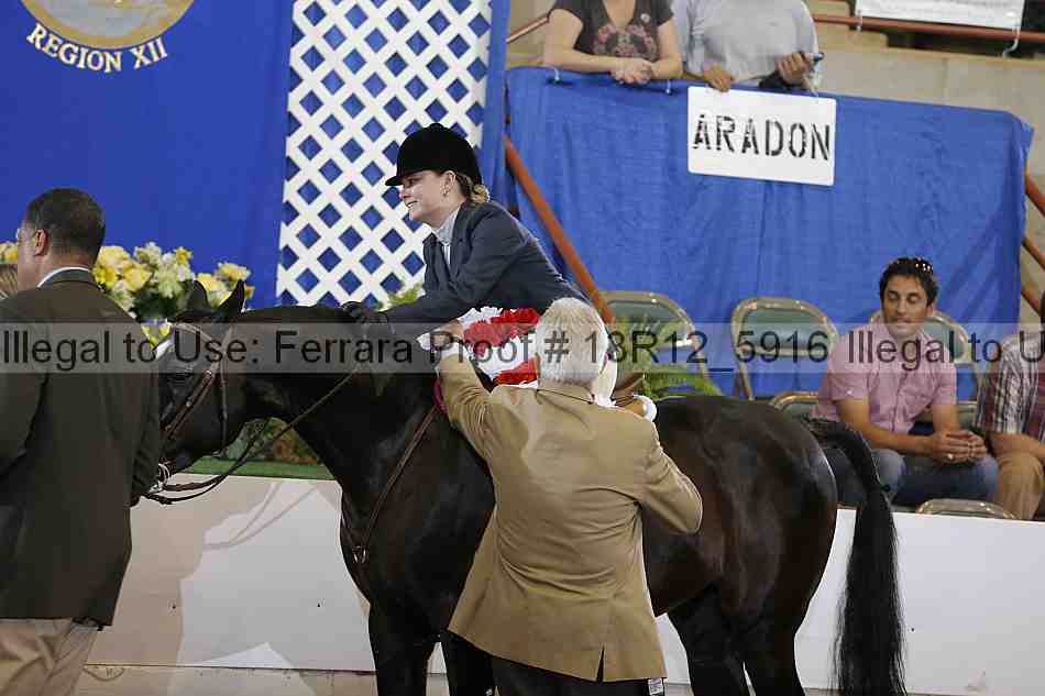 Proof Number 13r12_5916