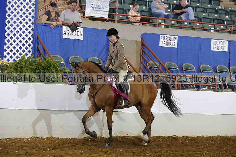 Proof Number 13r12_5923
