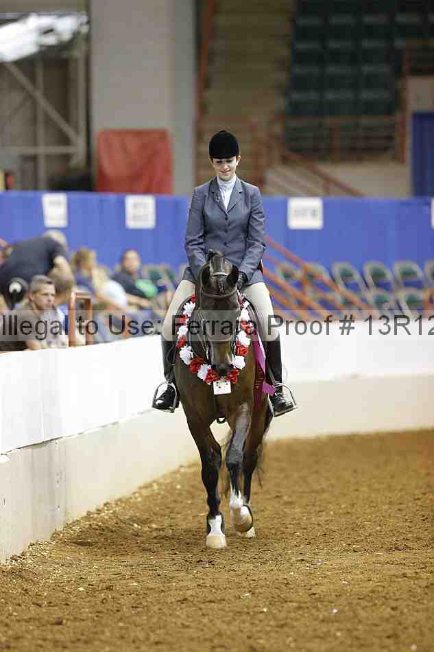 Proof Number 13r12_5933