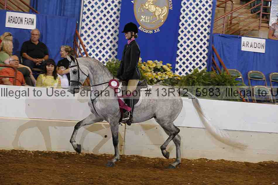 Proof Number 13r12_5983
