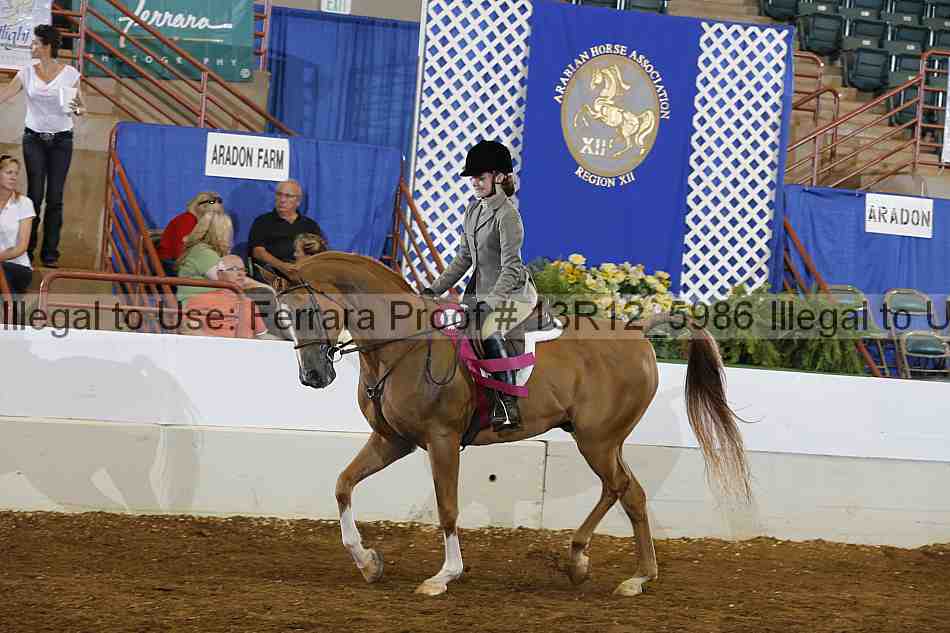 Proof Number 13r12_5986