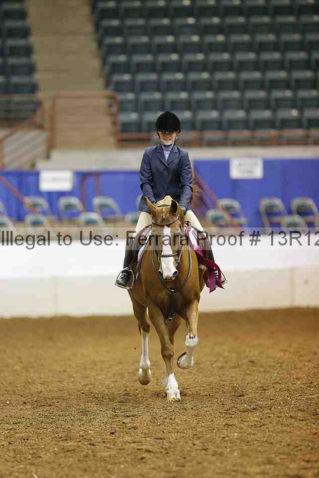 Proof Number 13r12_5988