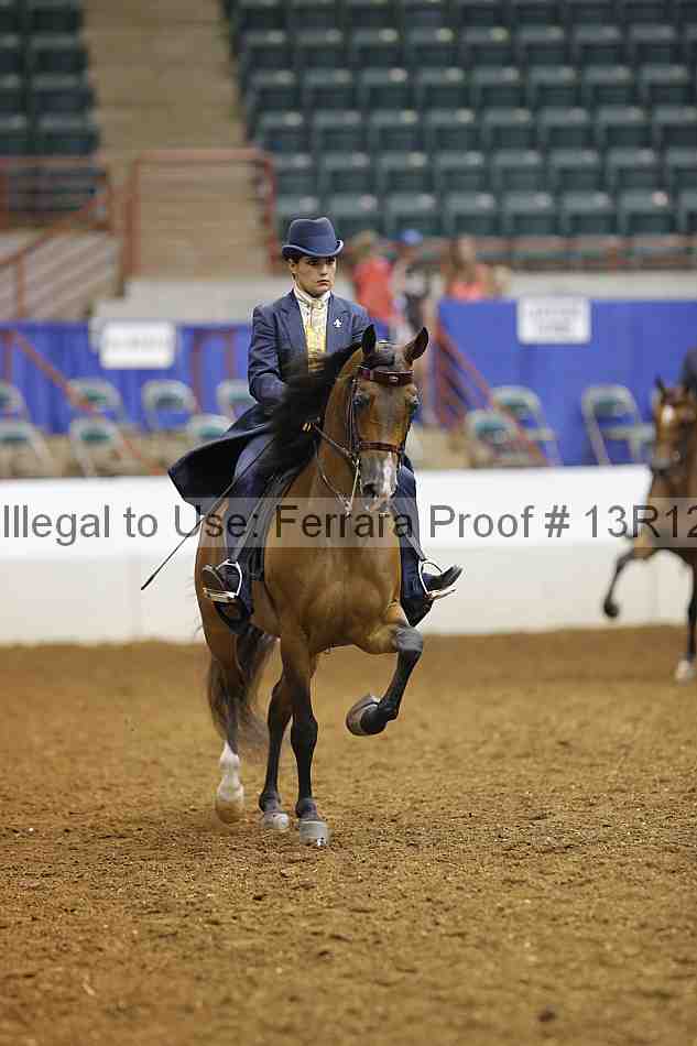Proof Number 13r12_6005