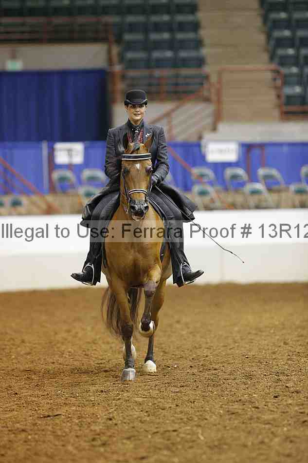 Proof Number 13r12_6014