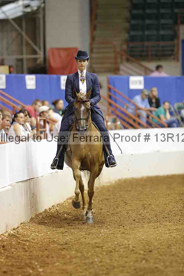 Proof Number 13r12_6017