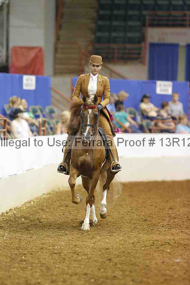 Proof Number 13r12_6038