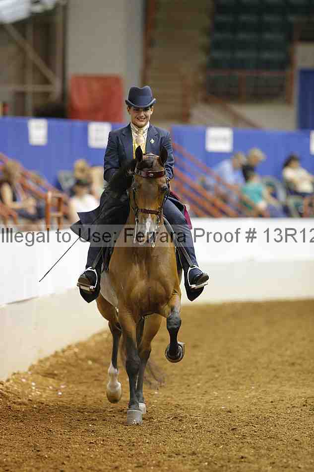 Proof Number 13r12_6042