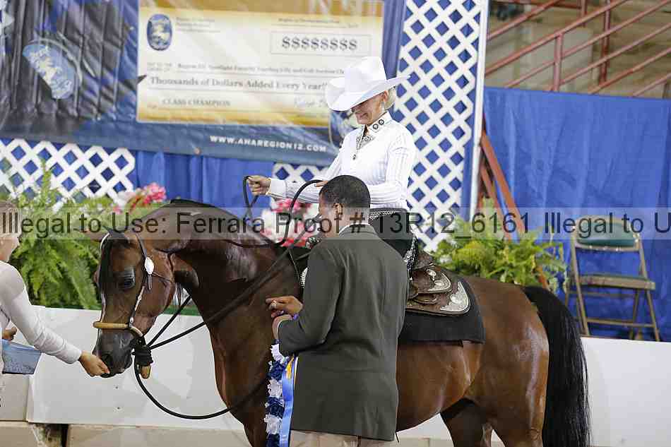 Proof Number 13r12_6161
