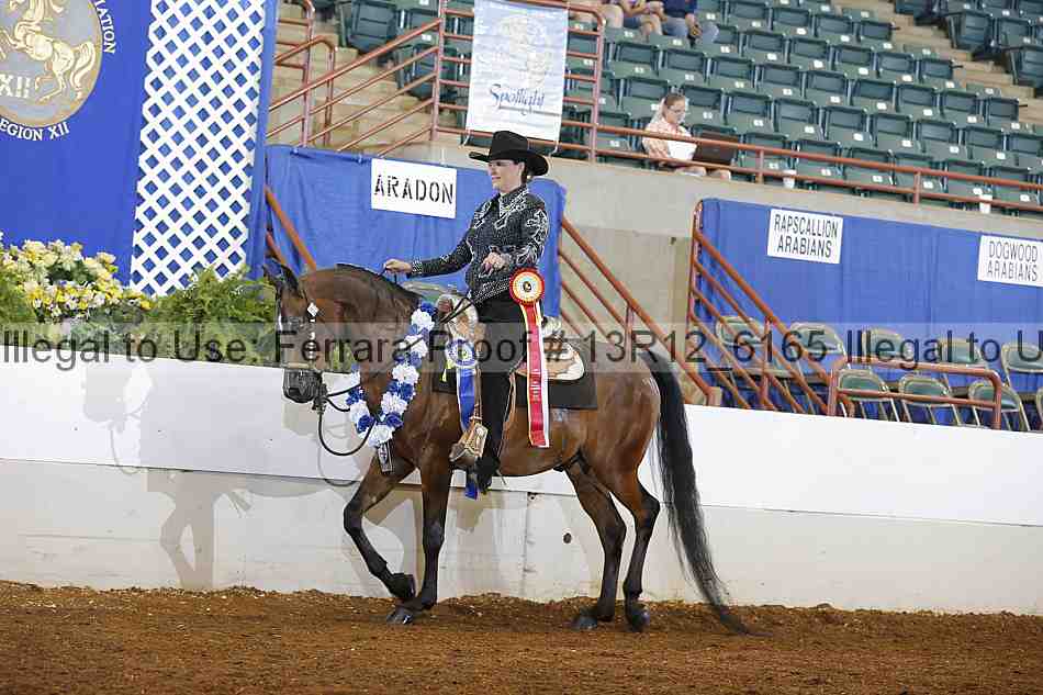 Proof Number 13r12_6165