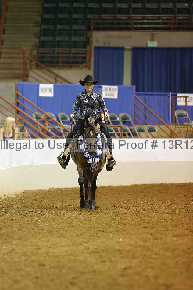 Proof Number 13r12_6167