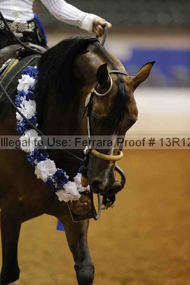 Proof Number 13r12_6177
