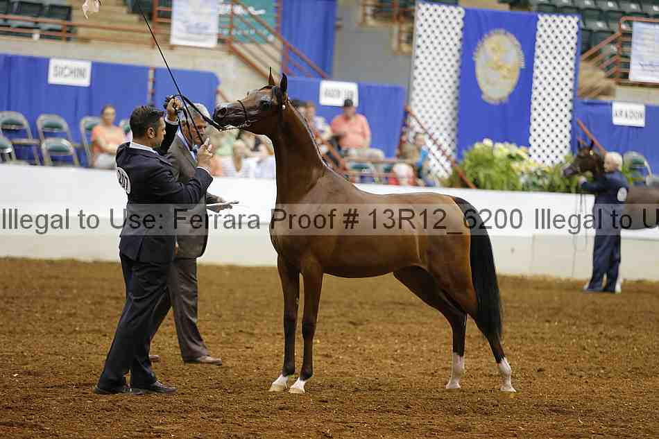 Proof Number 13r12_6200