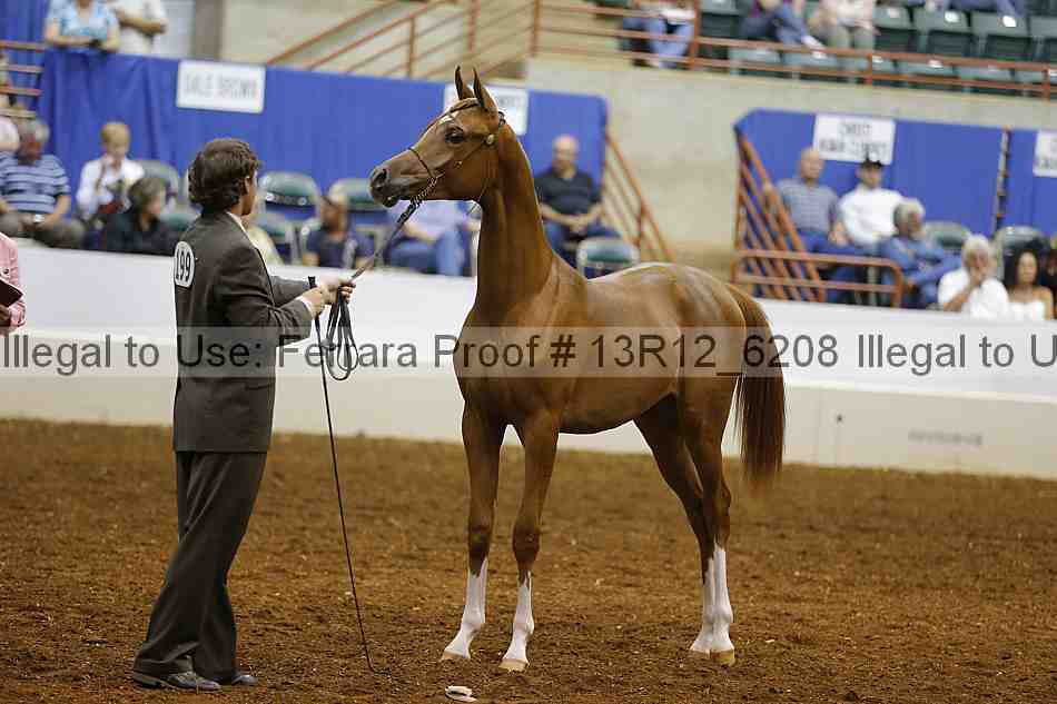 Proof Number 13r12_6208