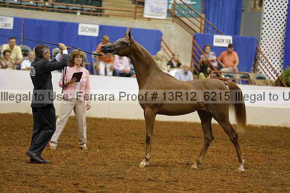 Proof Number 13r12_6215