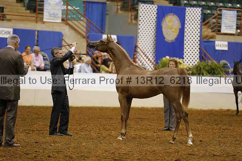 Proof Number 13r12_6218