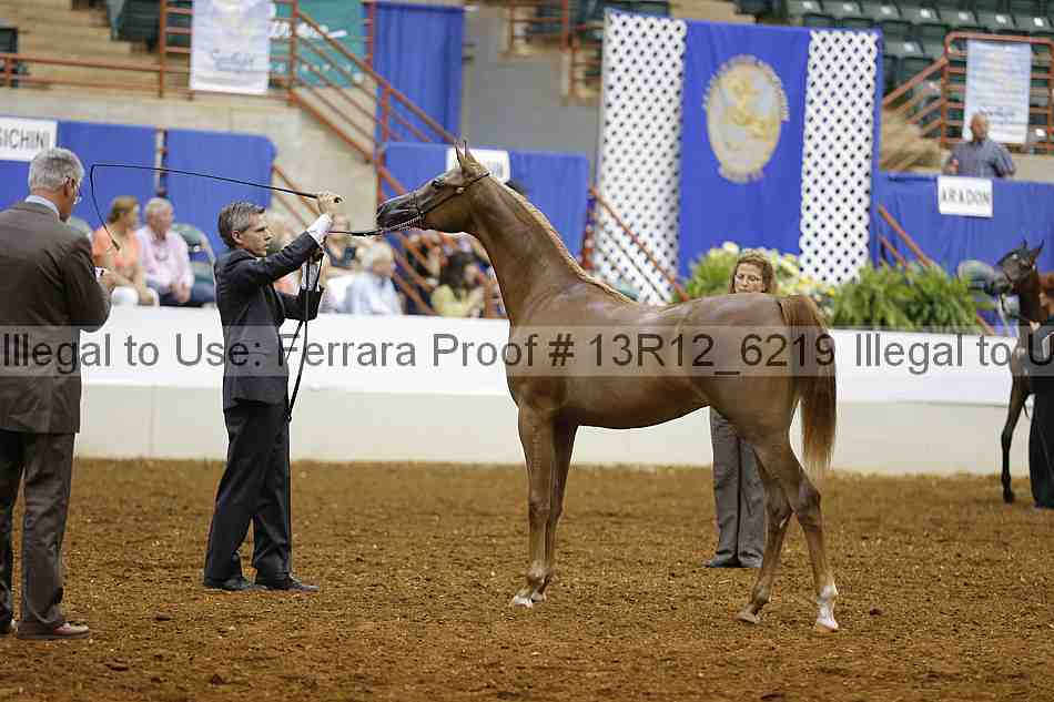 Proof Number 13r12_6219