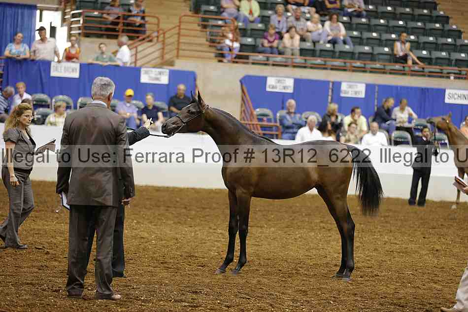 Proof Number 13r12_6222