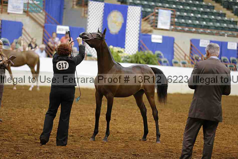 Proof Number 13r12_6223